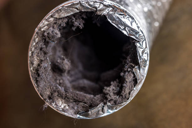 Best Air Vent Cleaning Services  in Sheffield, AL